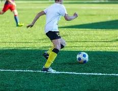 巴西国家足,球队世界杯,夺冠次数排,新葡京,新葡京app,新葡京娱乐,新普京赌场