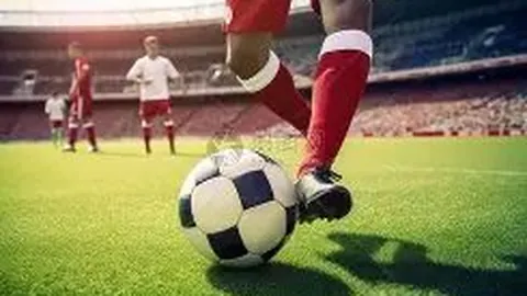 科技赋能：辅助器具助残障人士融入社会——科技日报