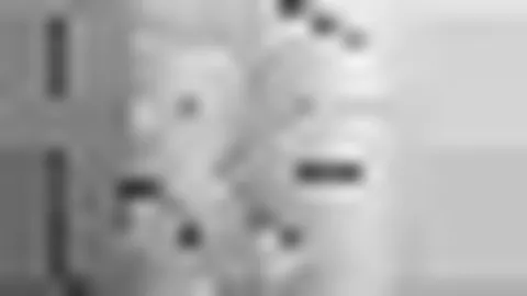 17次三双成就再续，2025年10号秀佩顿与鹈鹕续约成功。